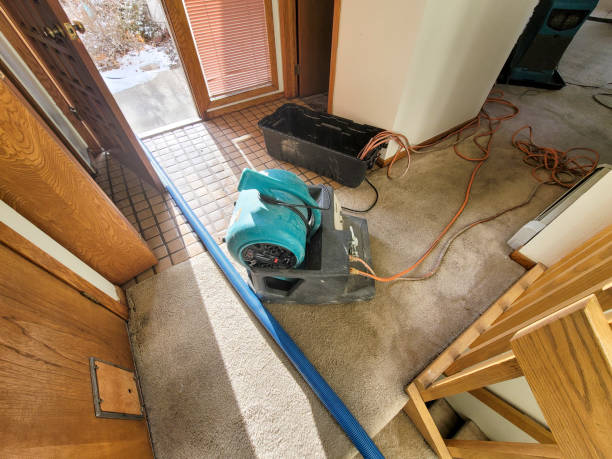 Best Water damage restoration near me  in Struthers, OH
