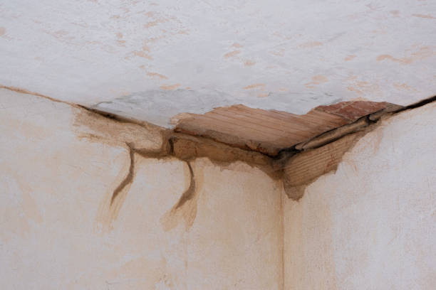 Best Water damage restoration near me  in Struthers, OH