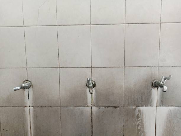 Best Water damage restoration near me  in Struthers, OH