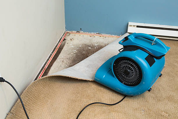 Best Basement water damage restoration  in Struthers, OH