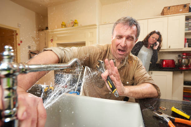 Best Carpet water damage restoration  in Struthers, OH